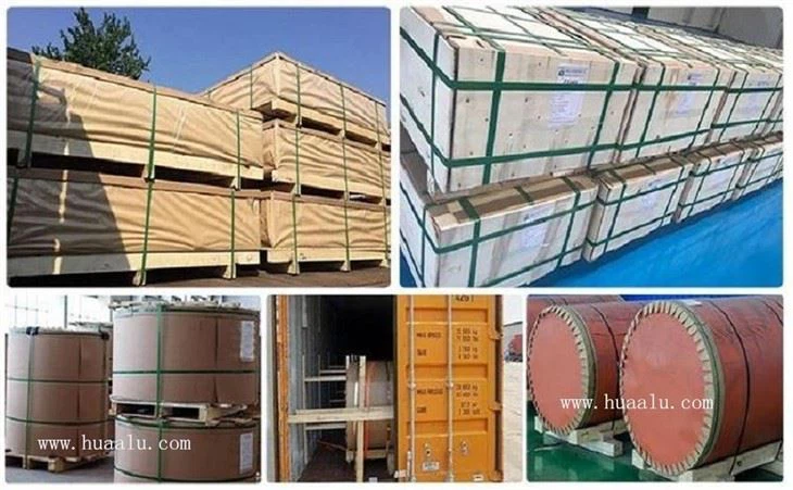 Coated Aluminium Coil Suppliers